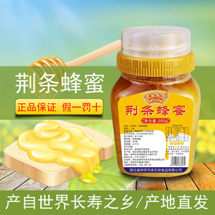 ���츮�Y��������Ȼ�����r���Ԯa�G�l�۰ٻ�������������500��