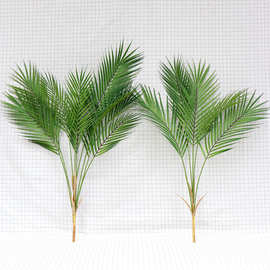假花仿真植物散尾叶 凤尾竹家居婚庆摄影装饰绿植散尾葵家居装扮
