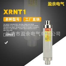 XRNT1/SDLAJ-10/12KV高压熔断器保险管熔管熔丝25A31.5A40A50A63A