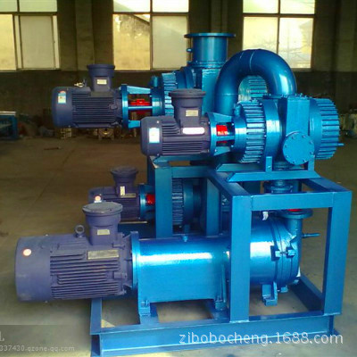 供应JZJ2S系列150.300等罗茨水环真空机组
