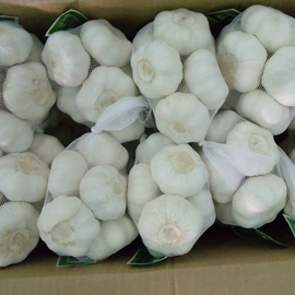 蒜;其他辛辣蔬菜;洋葱