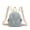 Small backpack, shoulder bag, straw woven small bag, 2019, Korean style