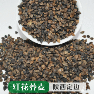 ����t���w��ԭ�Z �������w�����w�� ᄾ����Z�w���N��