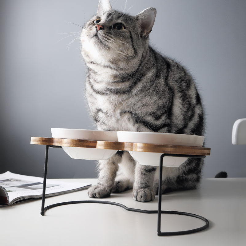 Red Bowl INS suministros para mascotas gato tazón perro tazón de cerámica oblicua boca protección columna tazón de fuente estante gato tazón de comida tazón de agua
