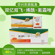 ϩ˪rș Srlϩ˪ ˪ù