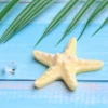 [黄色海星]