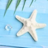 [纯白海星]