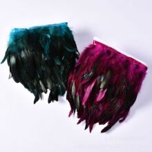 厂家现货供应服装裙摆辅料 多色公鸡尾13-18cm 子永羽毛布边