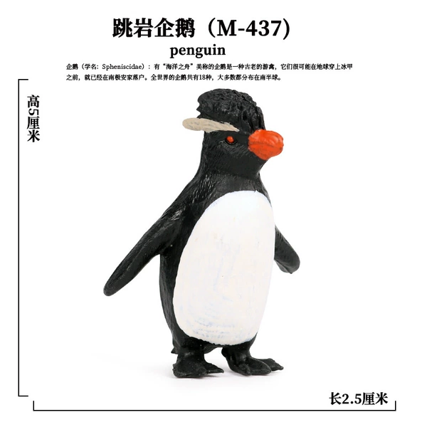 PL127-437 rock jumping penguin