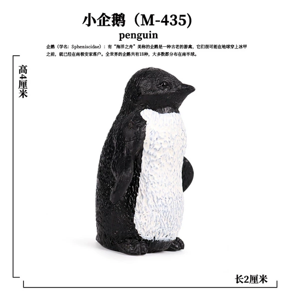 PL127-435 African Penguin