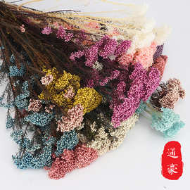 厂家直供不易掉米彩色永生米花 永生花礼盒配花 家居插花70g米花