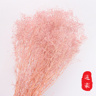 �����M���� ��ɫ���fС�M���� ���r���ɻ����� DIY���ϻ������l