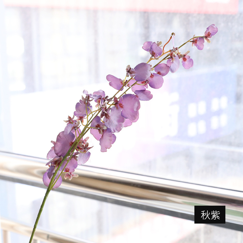 가을 보라색