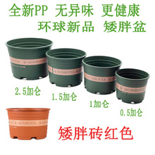 �h������ �Ӂ��� �̨�����¼�õ��G�}�A���� ���ϻ��� ��