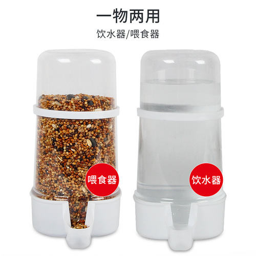 Chongshangtian Pigeon Drinking Fountain Automatic Water Feeder Parrot Feeder Bird Food Box Feeder