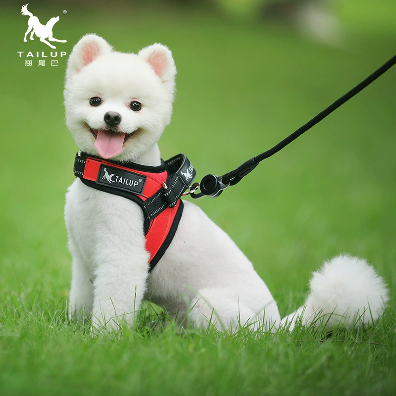 2022 новый специальный нагрудный ремень на липучке для щенков красного и черного цвета светоотражающий жилет для щенков первый сингл Бесплатная доставка