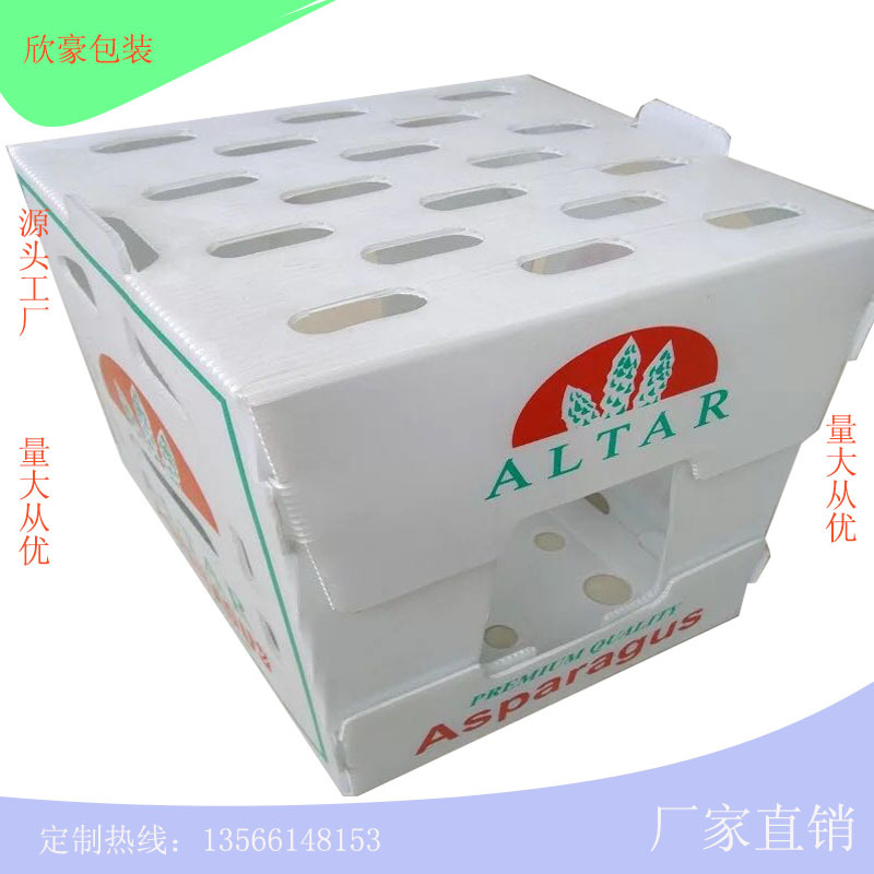 塑料新型中空板水果托盘  环保竹笋中空板包装箱食品包装箱可防腐