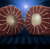 不织布纤维弹性磨头百洁布夹砂抛光轮带柄菜瓜布千叶轮