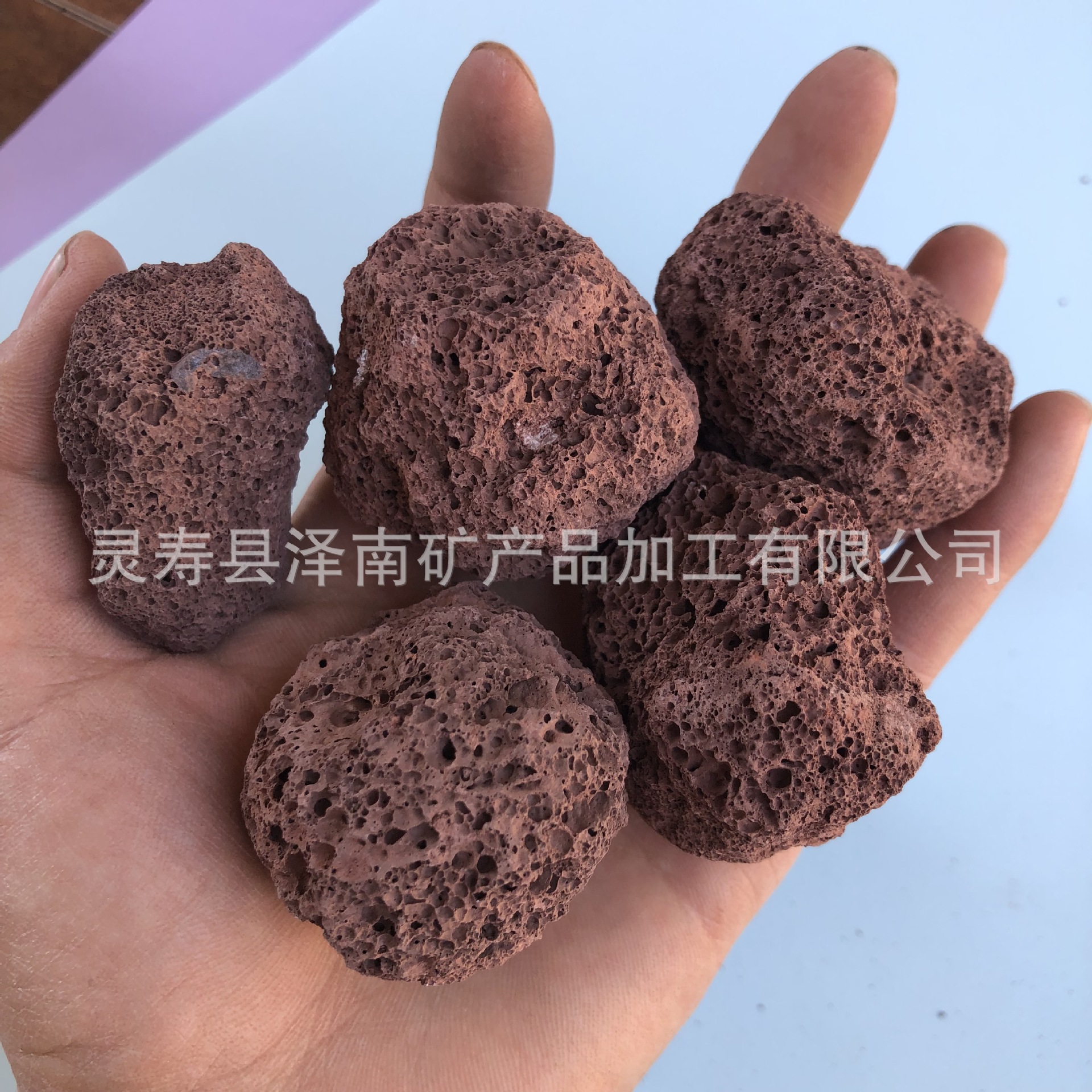 厂家供应园艺多肉植物用 火山石 水族过滤用 火山岩