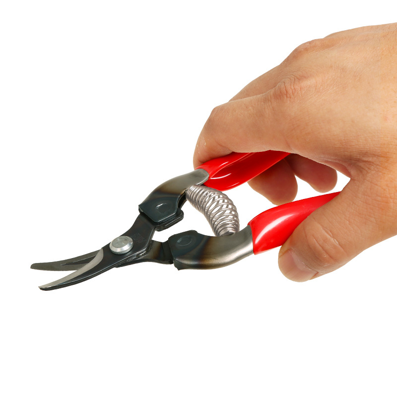 日本爱丽斯ARS 310采果剪摘果器稀果花草果树葡萄剪刀修果剪翘头