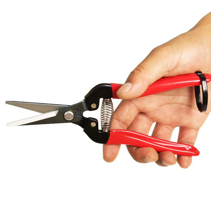 日本ARS爱丽斯300L采摘剪稀果长嘴剪刀剪花枝修花家用花卉剪