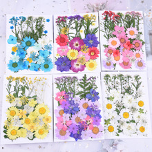 �羳����ɻ��������ϰ� diy���zѺ���֙C�� �����NĘ�y�ֹ�����