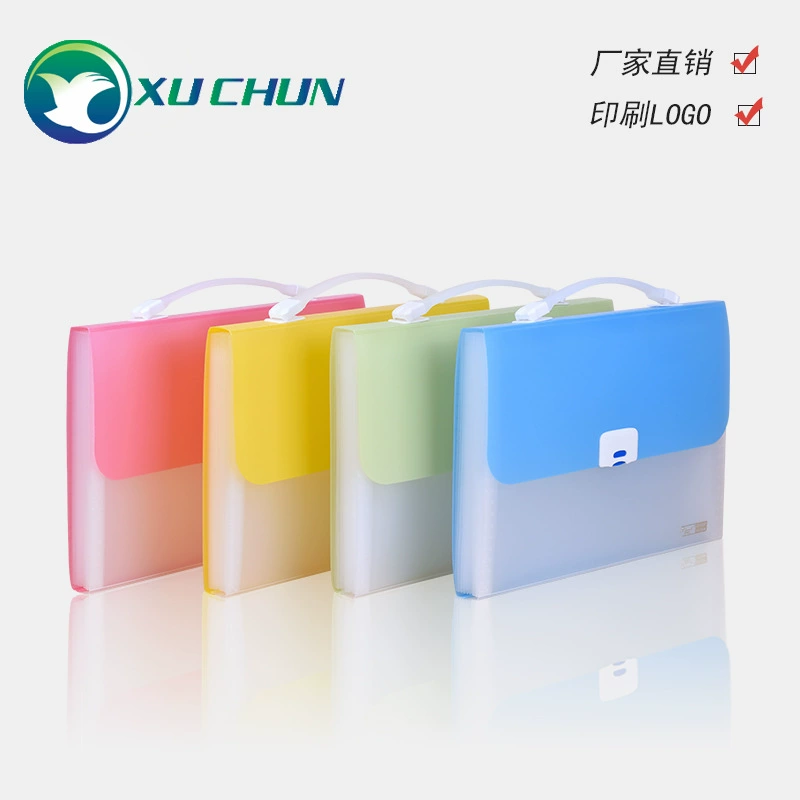 Amazon файловая сумка перламутровая прозрачная сумка A4 портативная папка сумка для органов 12 Сетка многослойная пластиковая портативная файловая сумка