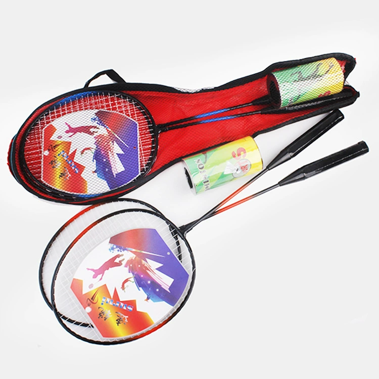 Тренировочная ракетка ученическая бадминтон ракетка костюм подарок стиль трансграничный Эксклюзив