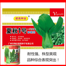 ϷNI1̖๣˷NϺСײ߲͟˷Nl