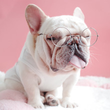 ����̫����R �b�ī�R �A�Ύ������R �������R ѩ�{��ī�R