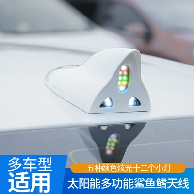 vehicle antenna: Light Car Accessory