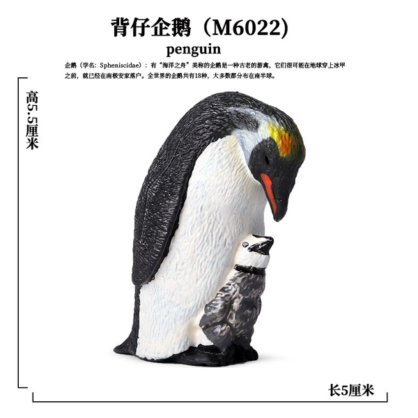 Cub penguin