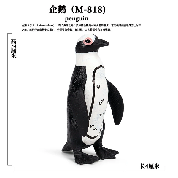PL127-818 African Penguin