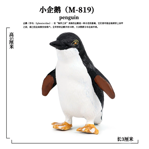 PL127-819 Little Penguin