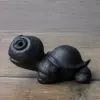 Черепаха с большой головой