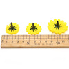 Sunflower head simulation flower DIY handmade accessories chrysanthemum head small flowers home decoration