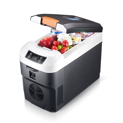 Avtomobil soyuducusu soyutma və isitmə 12V 24V 220V yük maşını insulin soyuducu qutusu