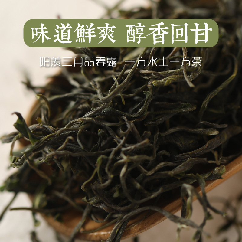 2026 Lanjian Yixing Maojian Grass Green Local Pre-Rain Spring Tea New Green Tea Leaves 250g Loose Pack Organic Fragrant Type