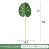 Medium -sized long rod over gum turtle back lobe Dark green A00443