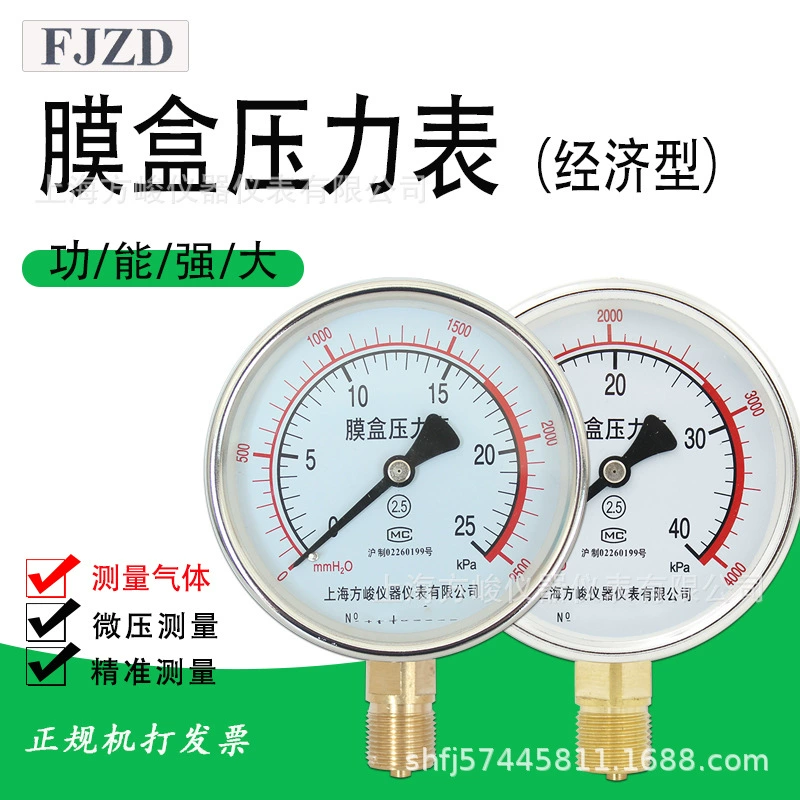 Производители поставляют Шанхай Fangjun YE-100 сильфонный манометр кПа манометр воздуха на природном газе осевой 150 сейсмостойкость