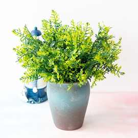 植物墙配材仿真植物 5叉水草珊瑚草 花蕨类植