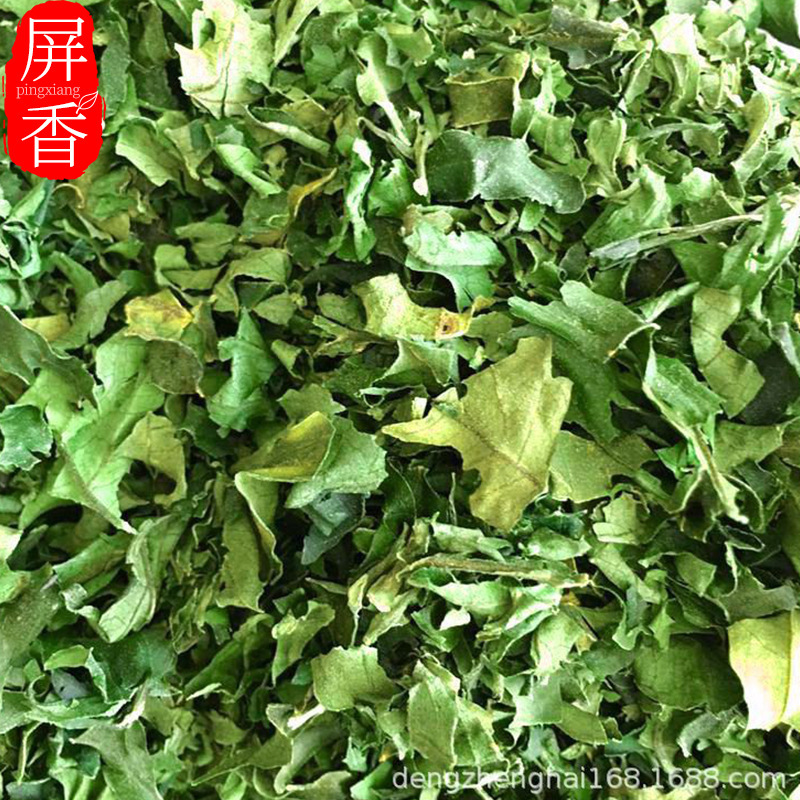 Supply Glutinous Rice Herbs Pure Leaves Dried Glutinous Fragrant Leaves Wholesale Glutinous Rice Herbs Tea Wholesale