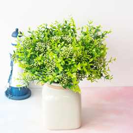 植物墙配材仿真植物 10叉水草尤加利带果 花蕨类植