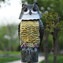 �����֬ ������B ؈�^���[�� �@����� �b�Ʒ