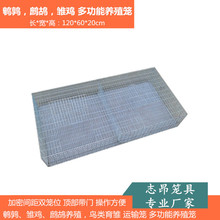 �ɻ\λ���r�\ ���g���p���r�u�Bֳ�\ �B���r �\ݔ�\ �๦���Bֳ�\