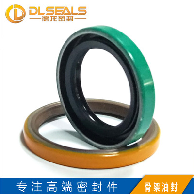 DLSEALS供应氟胶耐磨TB骨架油封 耐磨洗沙机防油旋转外骨架油封|ru