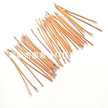 ��̖�쾀 �{���쾀 �{����̖�쾀���a�S�� �{�����C�� �����