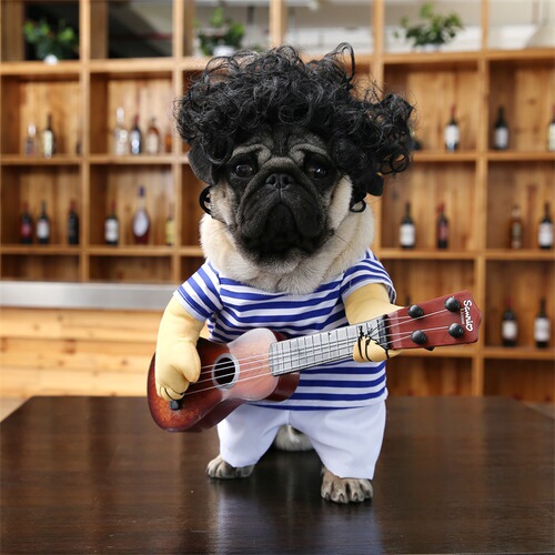 Funny Pet Dog Clothes Guitar Transformation Clothes Cat Walking Playing Guitar Cat Quick Hands Funny Guitar Clothing