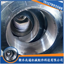 ͨSNz݆̥vtCz݆r񌍻ݴl