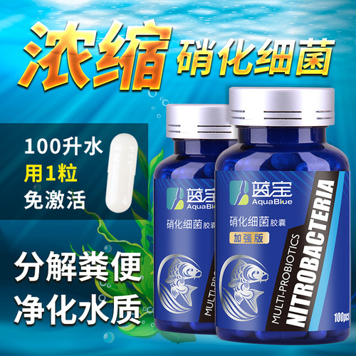 Nitrifying bacteria fish tank aquarium concentrated nitrifying bacteria dry powder capsules stabilize water quality aquarium chemicals purify water quality